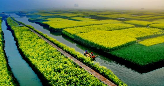中国怎样实现能源的可持续发展(怎样实现农业可持续发展)